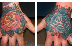 hand roses